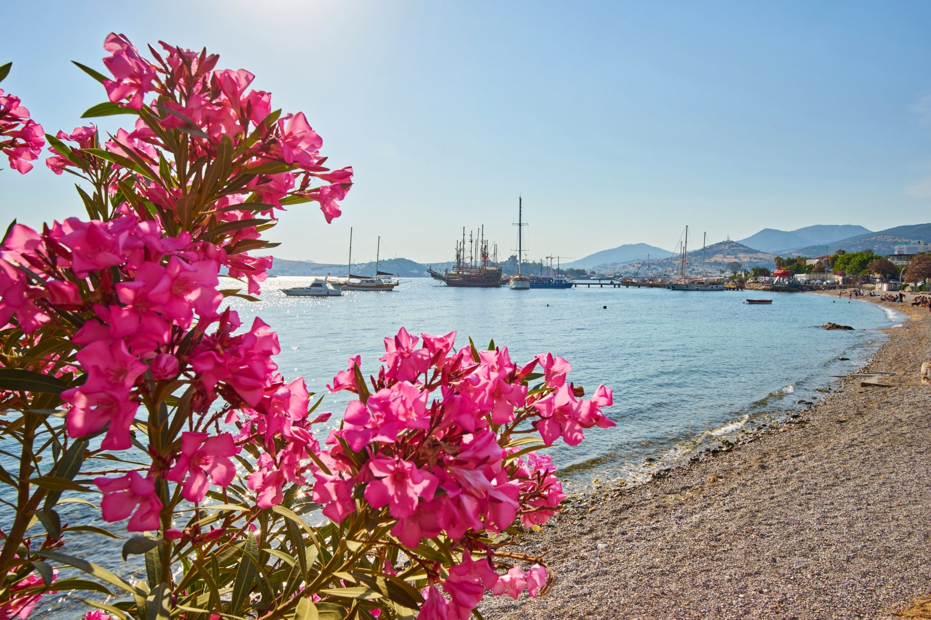 Bodrum Area photo 4